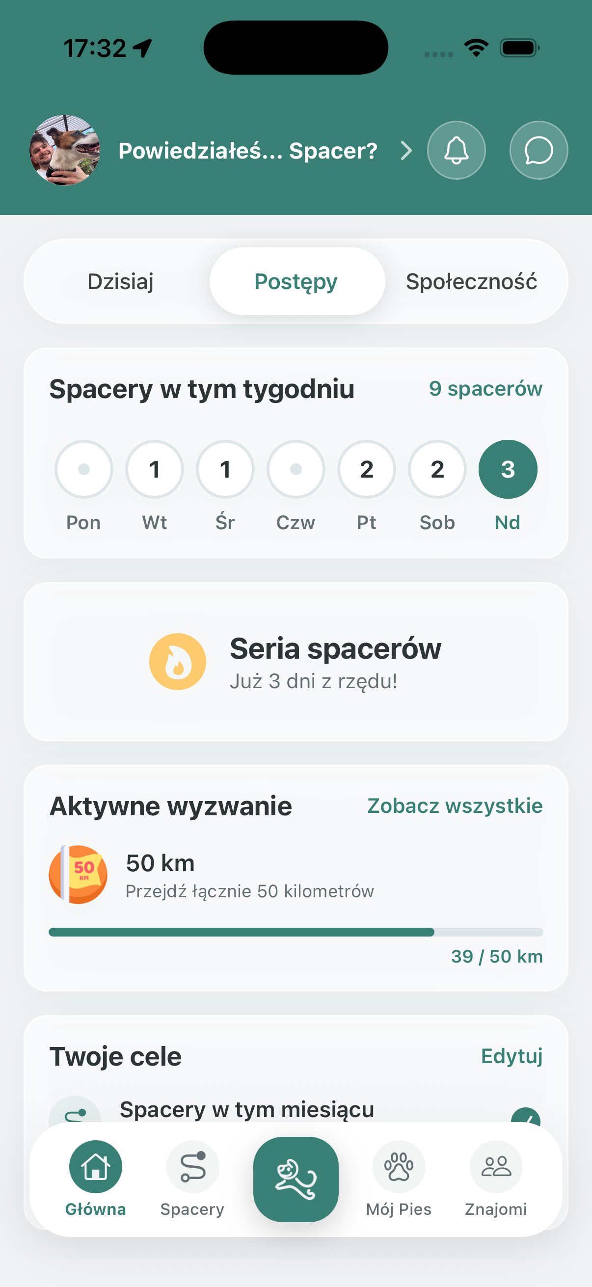 Statystyki i postępy